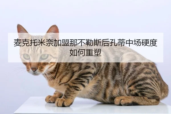 mai-ke-tuo-mi-nai-jia-meng-na-bu-le-si-hou-kong-di-zhong-chang-ying-du-ru-he-zhong-su-2-700.jpg