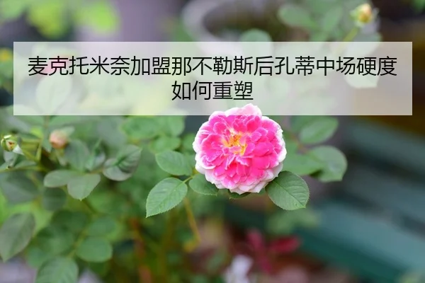 麦克托米奈加盟那不勒斯后孔蒂中场硬度如何重塑