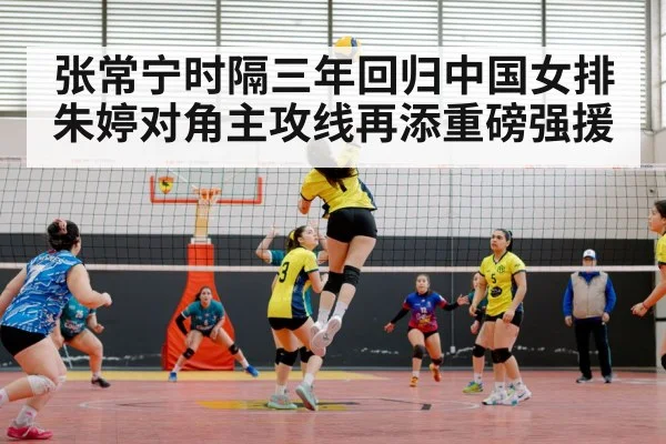 chinese women's volleyball team